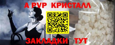2c-b Кингисепп