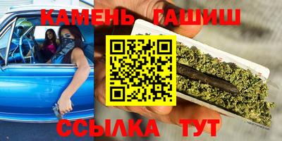 2c-b Кингисепп