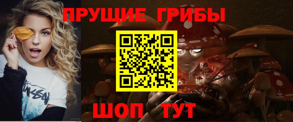 Галлюциногенные грибы мицелий  Вход с VPN  Галлюциногенные грибы прущие грибы  Котельники 