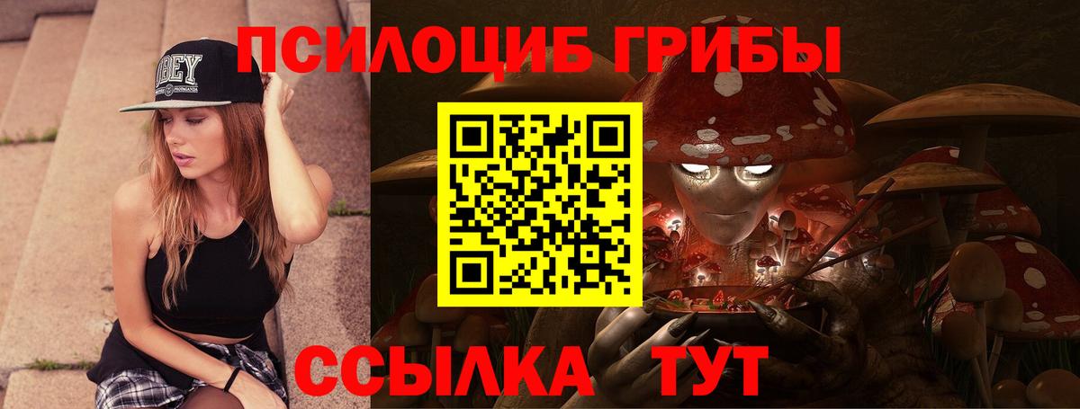 Галлюциногенные грибы Cubensis Котельники